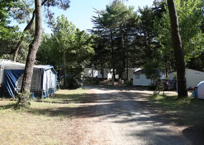 photo4-emplacements-camping-la-gachere-camping-olonne-sur-mer