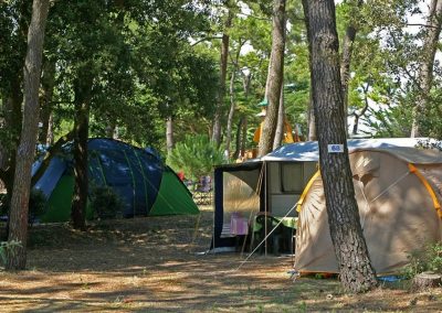 photo6-emplacements-camping-la-gachere-camping-olonne-sur-mer
